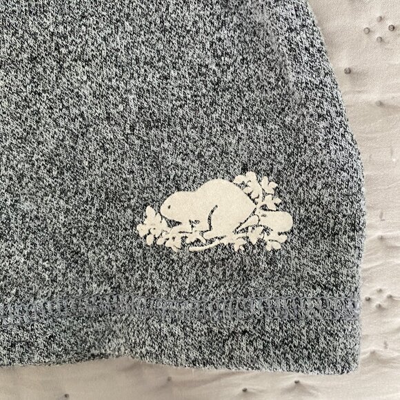 Roots Cabin Girls Hoodie Dress Tunic Grey Size 4T - Picture 7 of 8